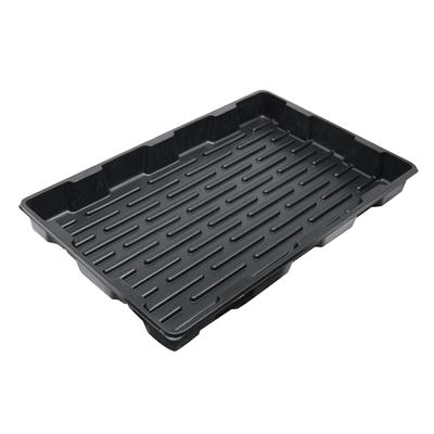 Mini Greenhouse Tray