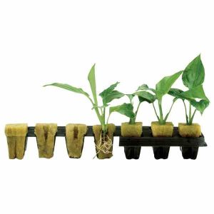Grodan 1/2" Starter Cube Tray of 150