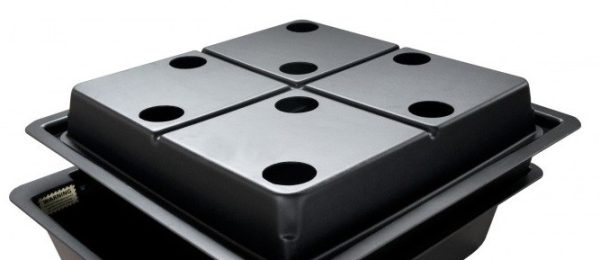Amazon Lid 8 Plant Large Hole