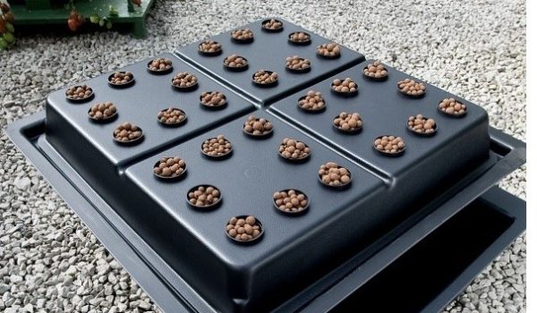Amazon Lid 32 Plant Small Hole