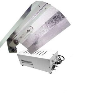 600w ProGear Lighting System